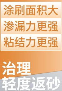 固砂寶配方與應用指南——大眾科技致富信息網(wǎng)涂膜科技專欄